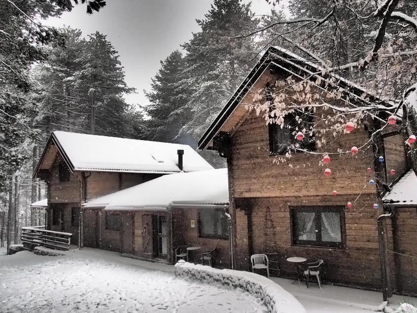 Chalet Clan Dei Ragazzi Linguaglossa Exterior photo