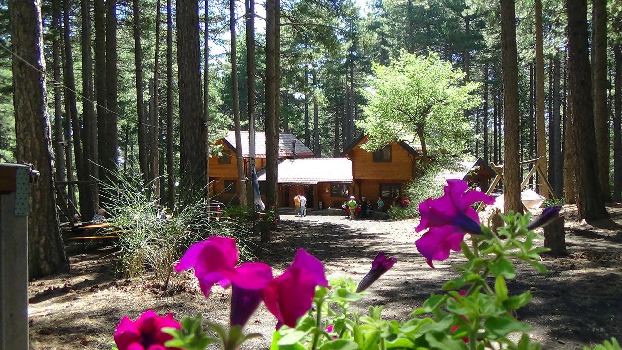 Chalet Clan Dei Ragazzi Linguaglossa Exterior photo
